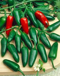 25 Early Jalapeño Pepper Seeds - Capsicum annuum - Heirloom, Non-GMO, Fast-Maturing, Spicy Chili For Salsas & Pickling