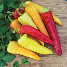 30 Seeds Sweet Banana Pepper - Mild Yellow Capsicum annuum for Fresh Eating, Cooking & Pickling - Prolific and Versatile