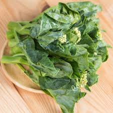 Chinese Broccoli Kailaan Seeds 500mg - Fast Growing, Tender Stems & Leaves, Open Pollinated, Brassica oleracea var. alboglabra