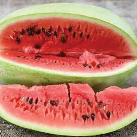 Charleston Grey Watermelon Seeds - 20 Non-GMO Seeds (Citrullus lanatus) - Sweet, Juicy, Classic Summer Fruit