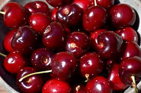 Lambert Cherry Tree Scion Cuttings x3 - Sweet Red Cherries (Prunus avium) for Grafting and Fresh Eating