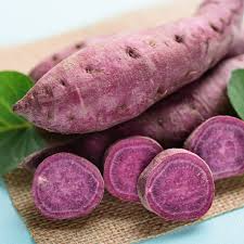 5 Pounds Organic All Purple Sweet Potato Tubers - Japanese Variety, Fast-Growing, Nutritious, Ipomoea batatas