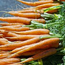 300 Little Fingers Carrot Seeds - Mini Heirloom, Sweet & Crisp Baby Carrots - Daucus carota - Ideal for Small Spaces