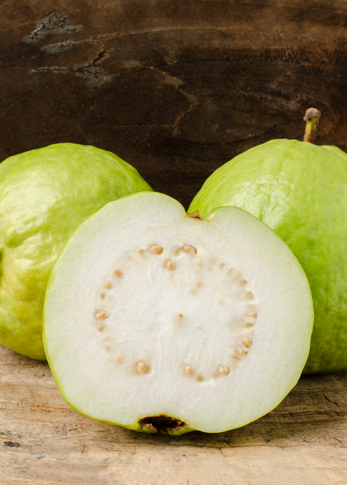 Guava 'Kilo' (Psidium guajava)