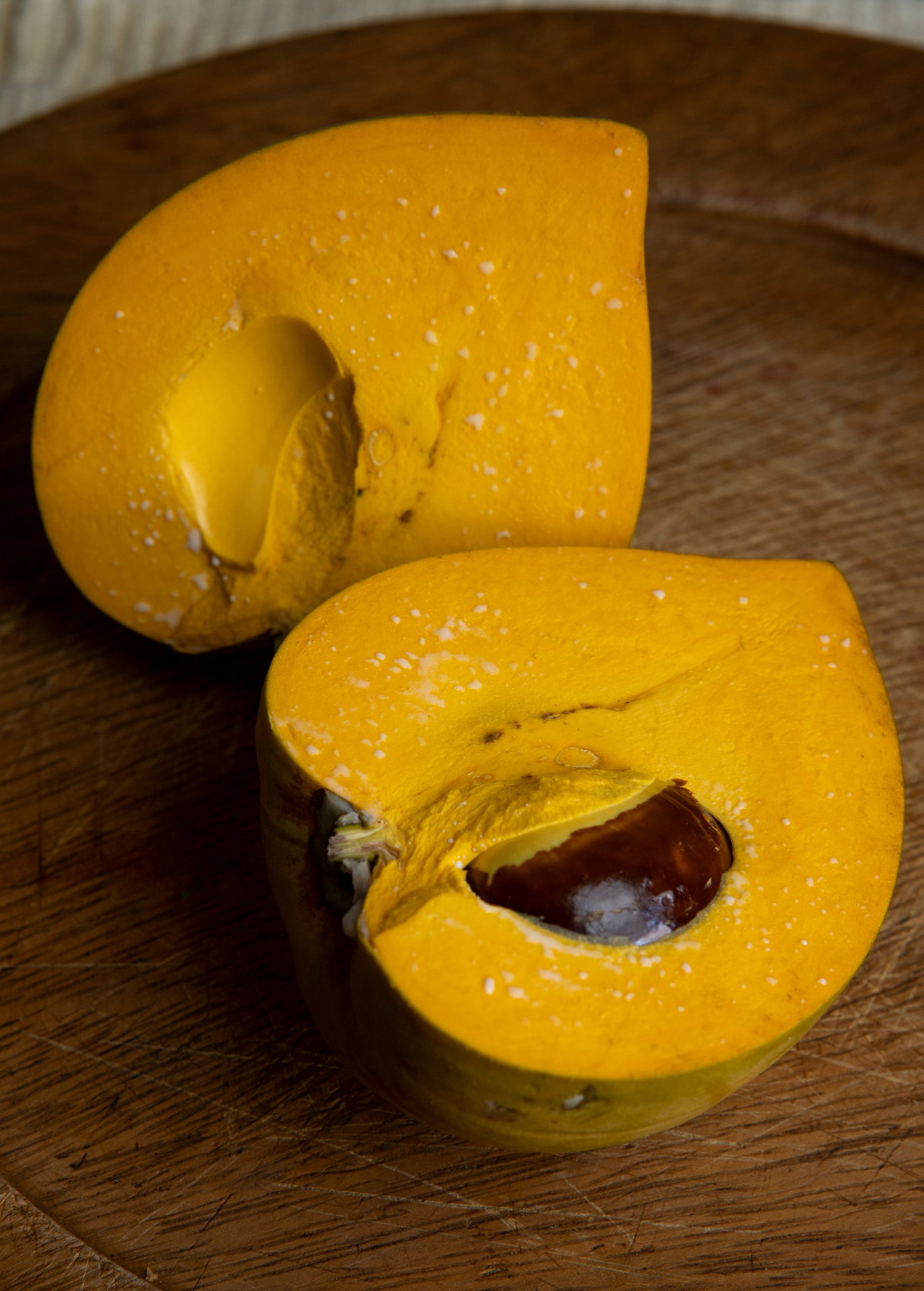 Canistel 'Oro' (Pouteria campechiana)