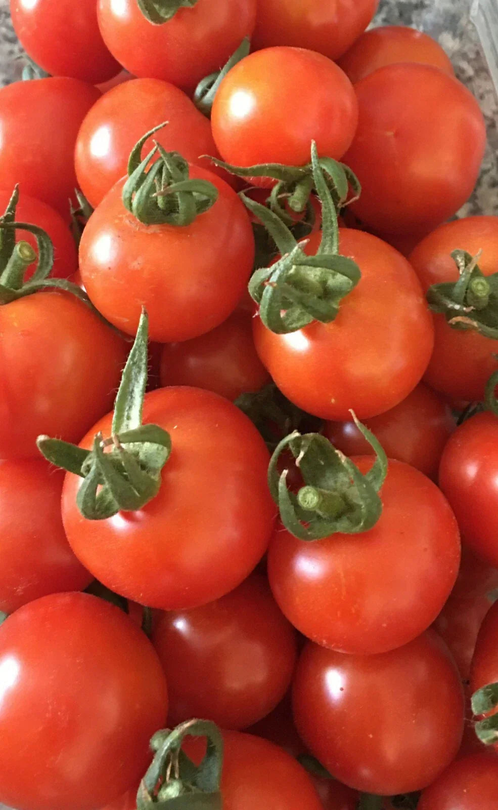 Organic Cherry Tomato Seeds - 100+ Count - Red Sweetie - Lycopersicon esculentum - Heirloom Non-GMO Vegetable Seeds