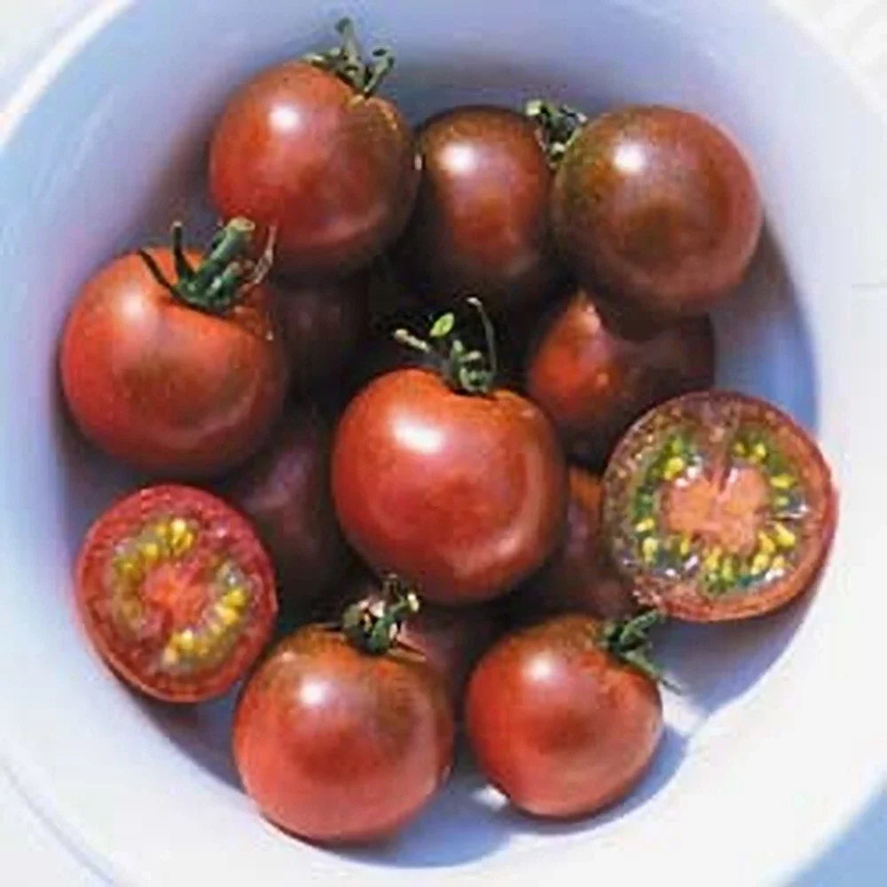 Brown Berry Tomato Seeds - 30+ Heirloom Non-GMO Organic - Rare Variety Solanum lycopersicum - Rich Flavor for Garden