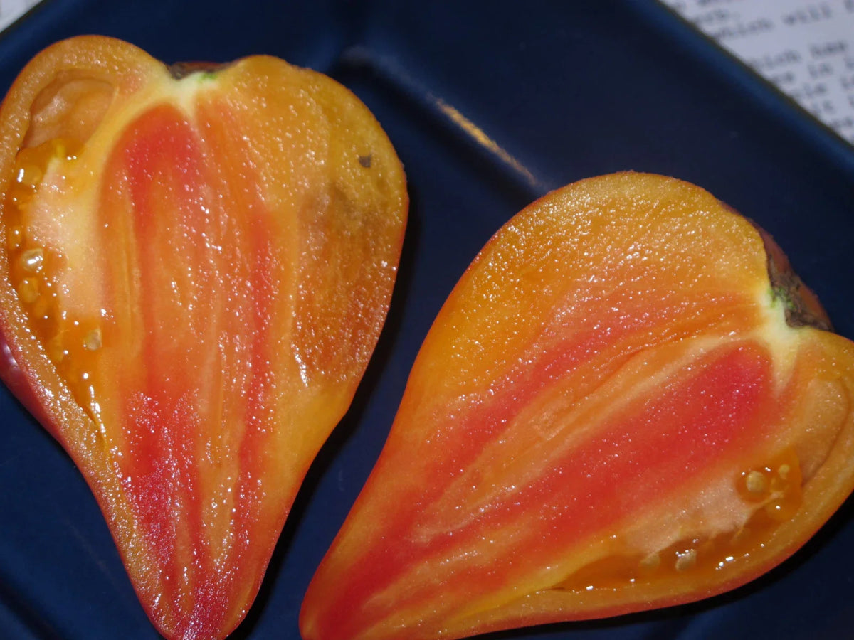 Orange Oxheart Tomato Seeds - 30+ Organic Heirloom Variety - Solanum lycopersicum - Rare Sweet Flavor for Home Gardens