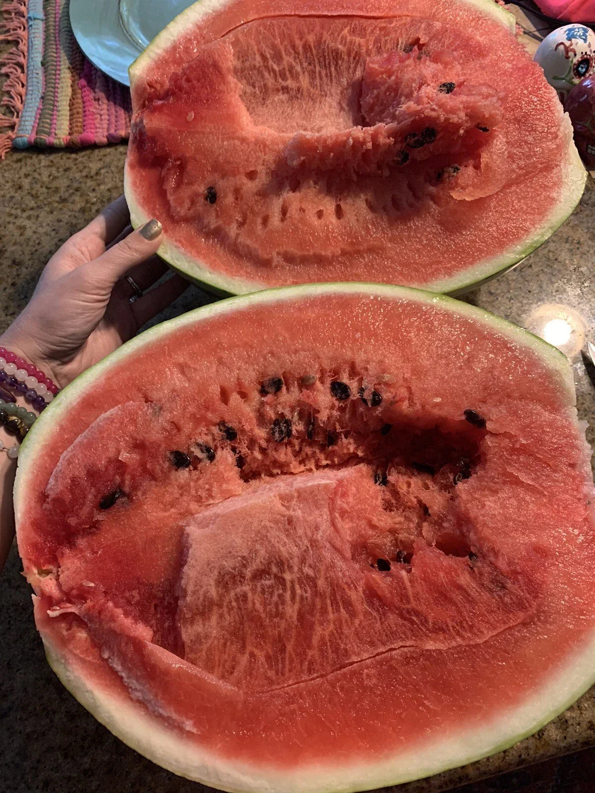 Organic Watermelon Seeds - 15 Non-GMO TX Garden Variety - Citrullus lanatus - Perfect for Home Gardening