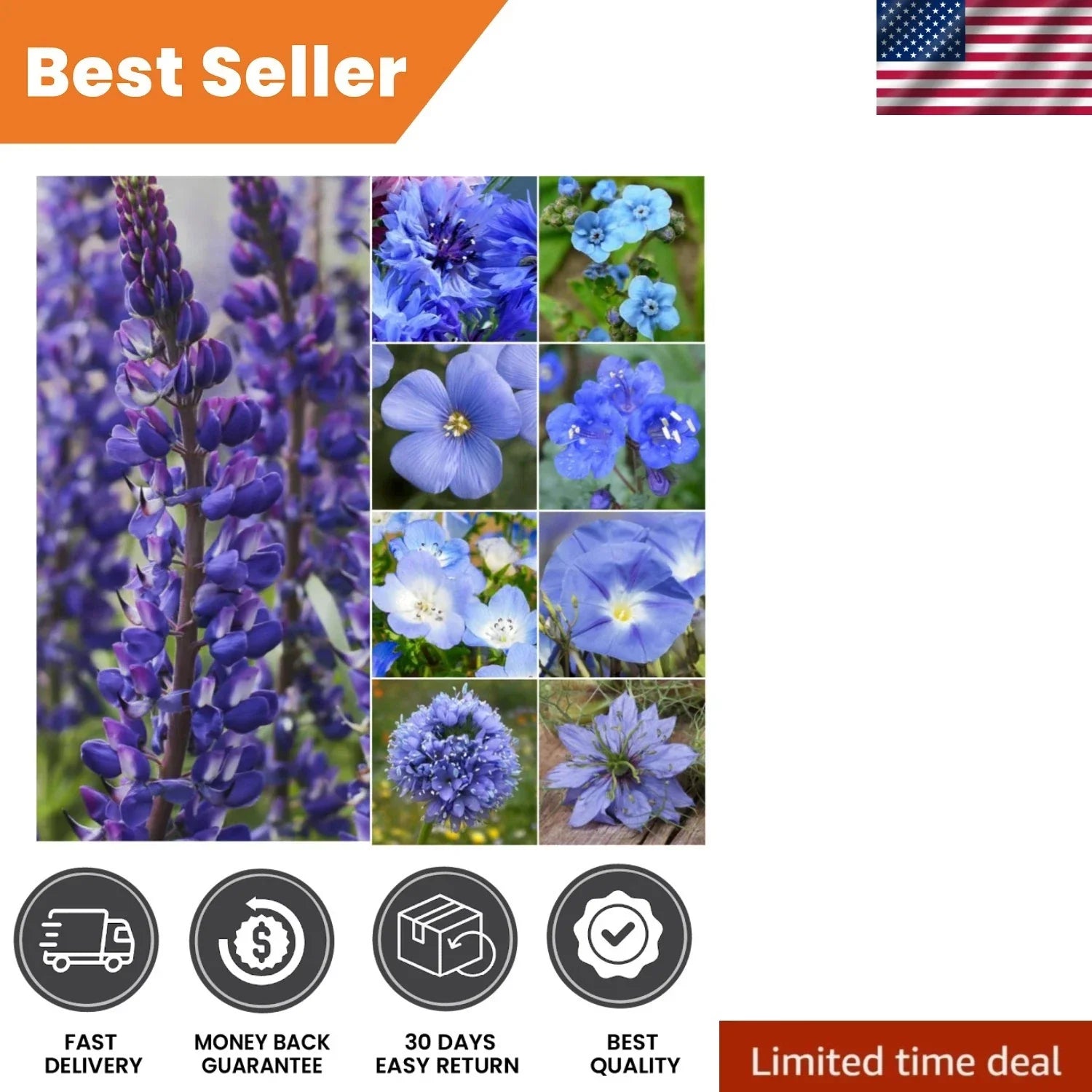 Mixed Wildflower Seeds - 30,000+ Seeds - Native Blend for Butterflies & Bees - Various Species