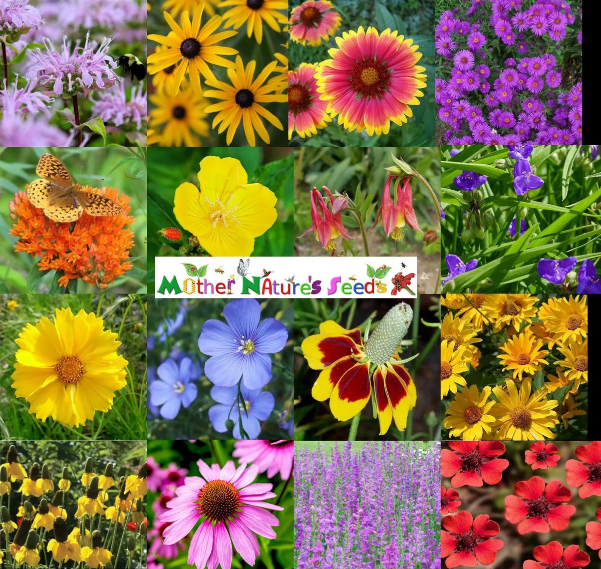 Wildflower Seed Mix 1000 Heirloom Non-GMO Perennial for Butterflies & Bees Various Perennial Species