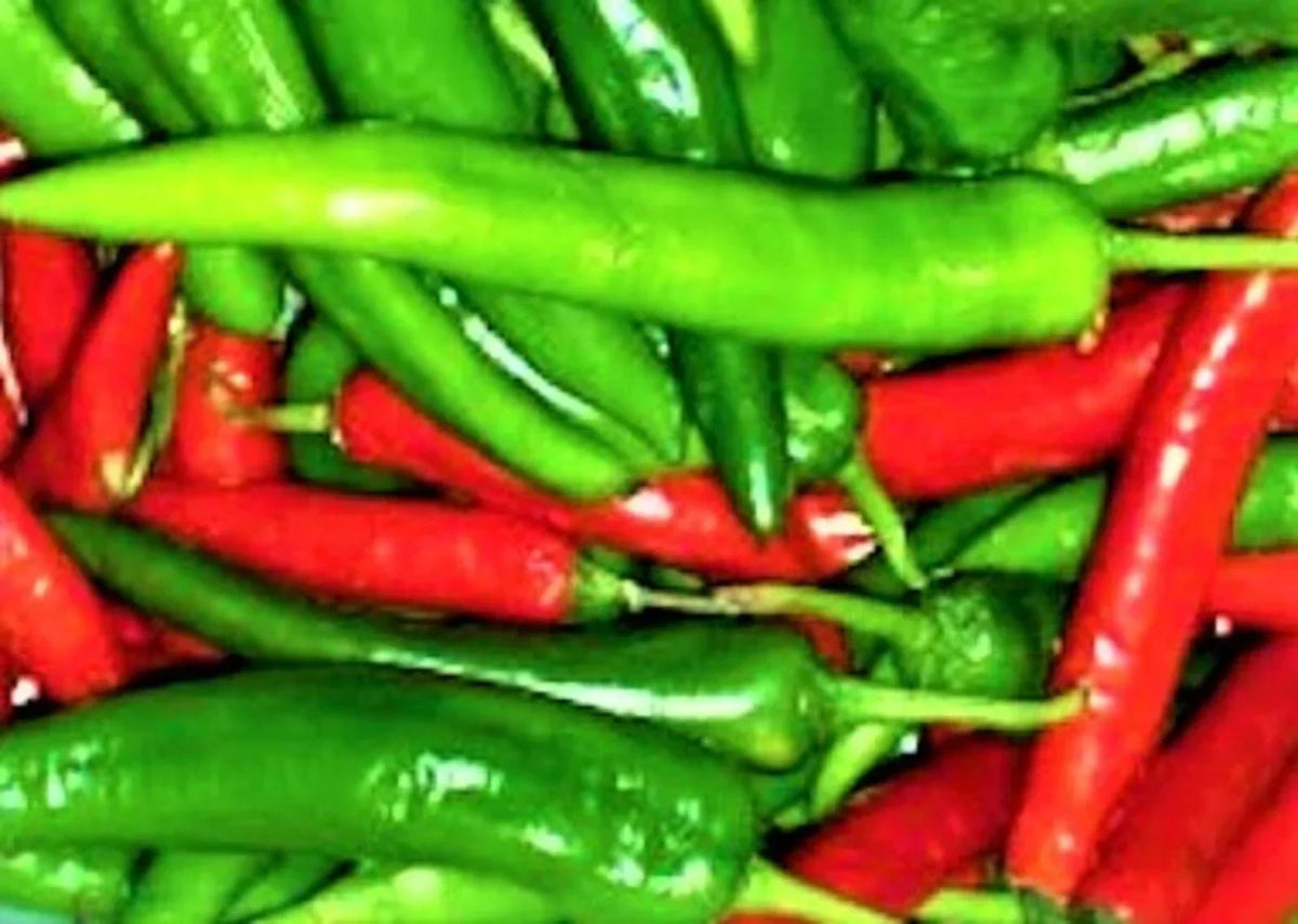 Cayenne Pepper Seeds 50+ Non-GMO Capsicum annuum Spicy Red Slim Peppers for Gardening