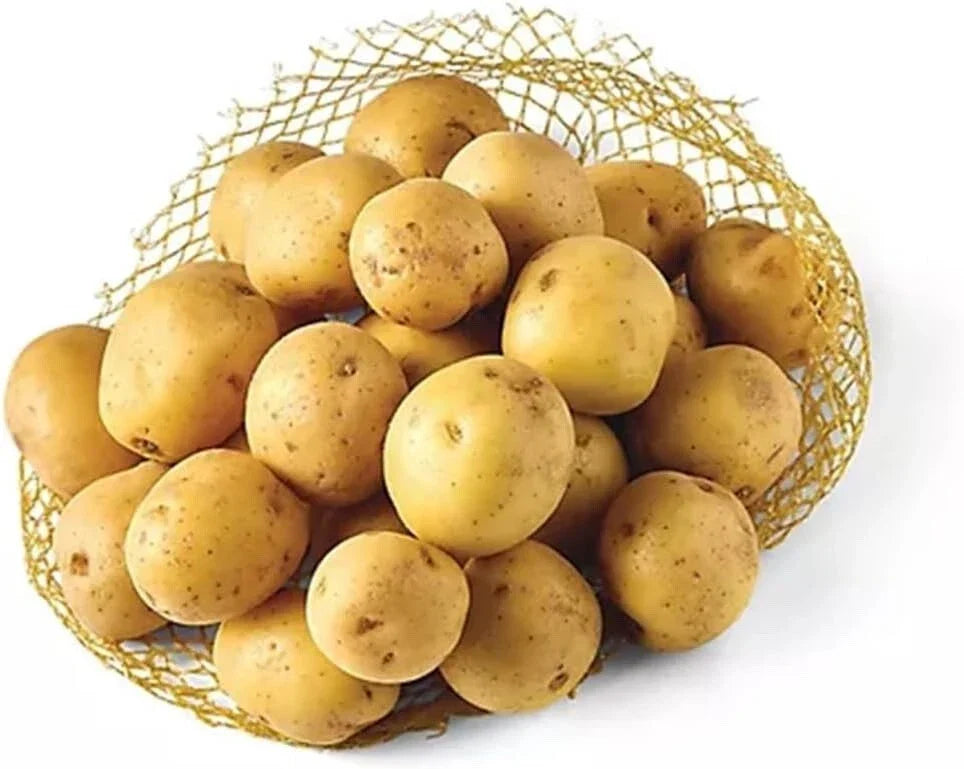 Mini Seed Potatoes - Small Size - Vista Gold Yellow Skin Variety - Solanum tuberosum for Home Gardening