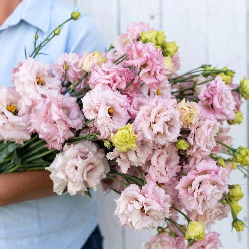 Pink Lisianthus Flower Seeds - 20 Improved Seeds - Eustoma grandiflorum - Easy to Grow, Garden & Floral Use