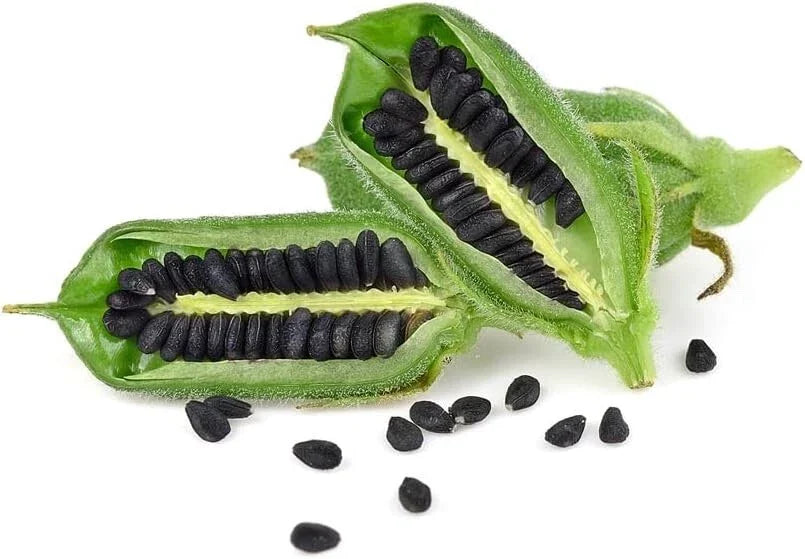 Black Sesame Seeds for Planting - 500 Organic Kurogoma, Edible Sesamum indicum, Nutty Flavor, Easy to Grow