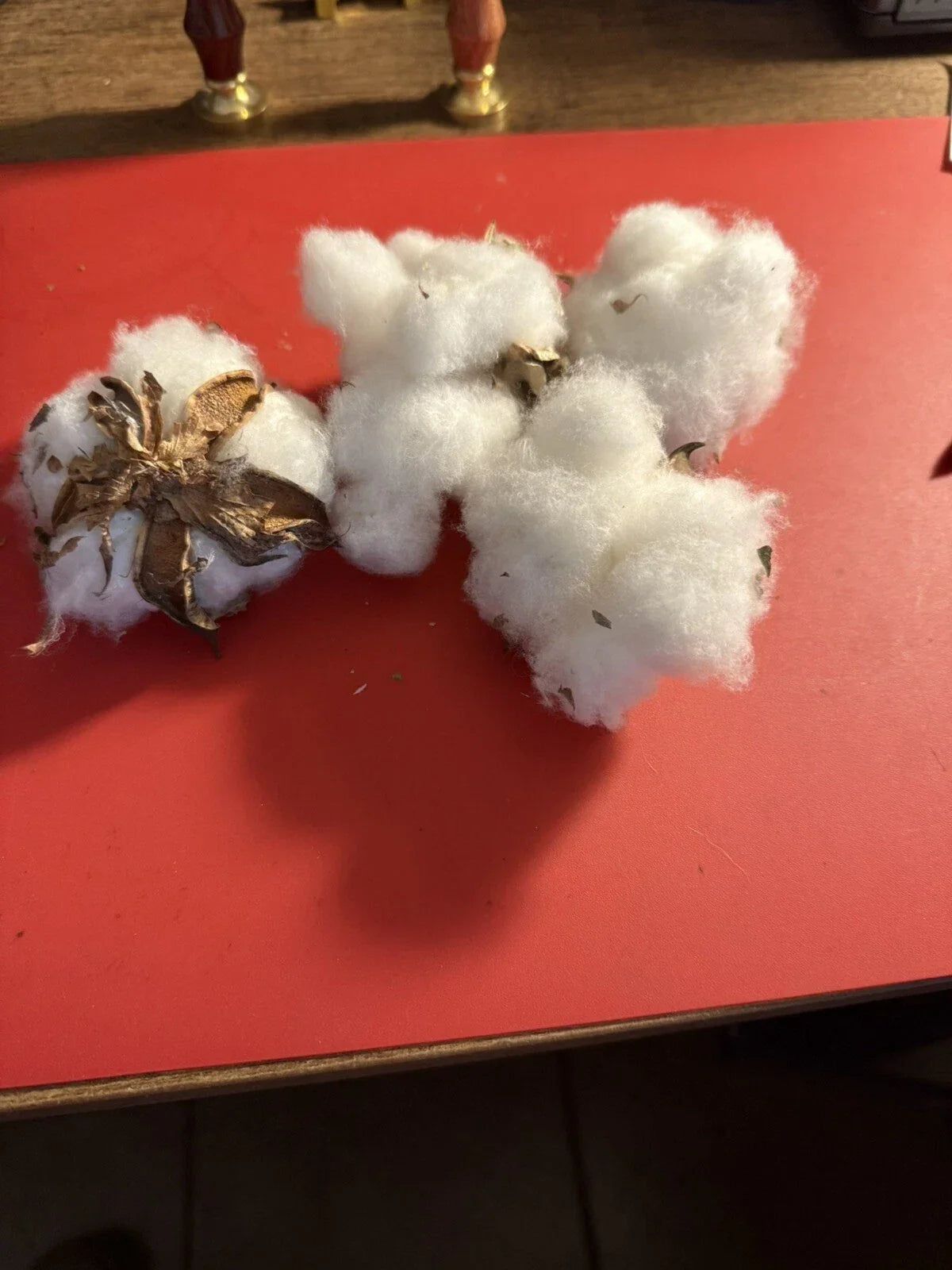 U.S. Cotton Bolls Seeds - 100+ Non-GMO Viable Seeds for Gossypium hirsutum - Ideal for Gardening, Crafts, and Decoration