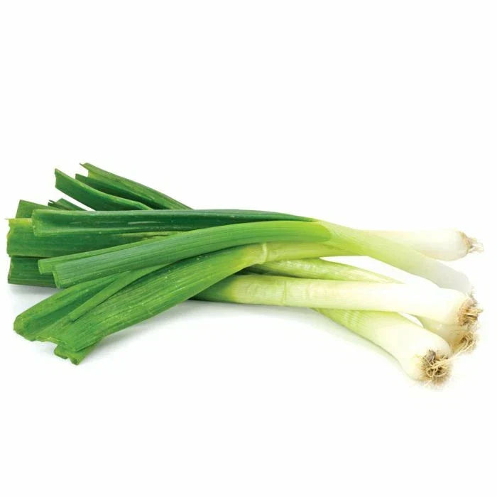 Toky Long White Bunching Onion Seeds - Allium fistulosum - Heirloom Vegetable Seeds for Garden & Culinary Use