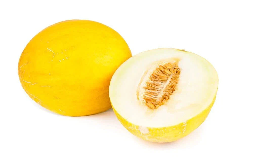 Canary Yellow Melon Seeds - 30 Pack Heirloom - Cucumis melo - USA Made, Non-GMO, Sweet Flavor for Home Gardens