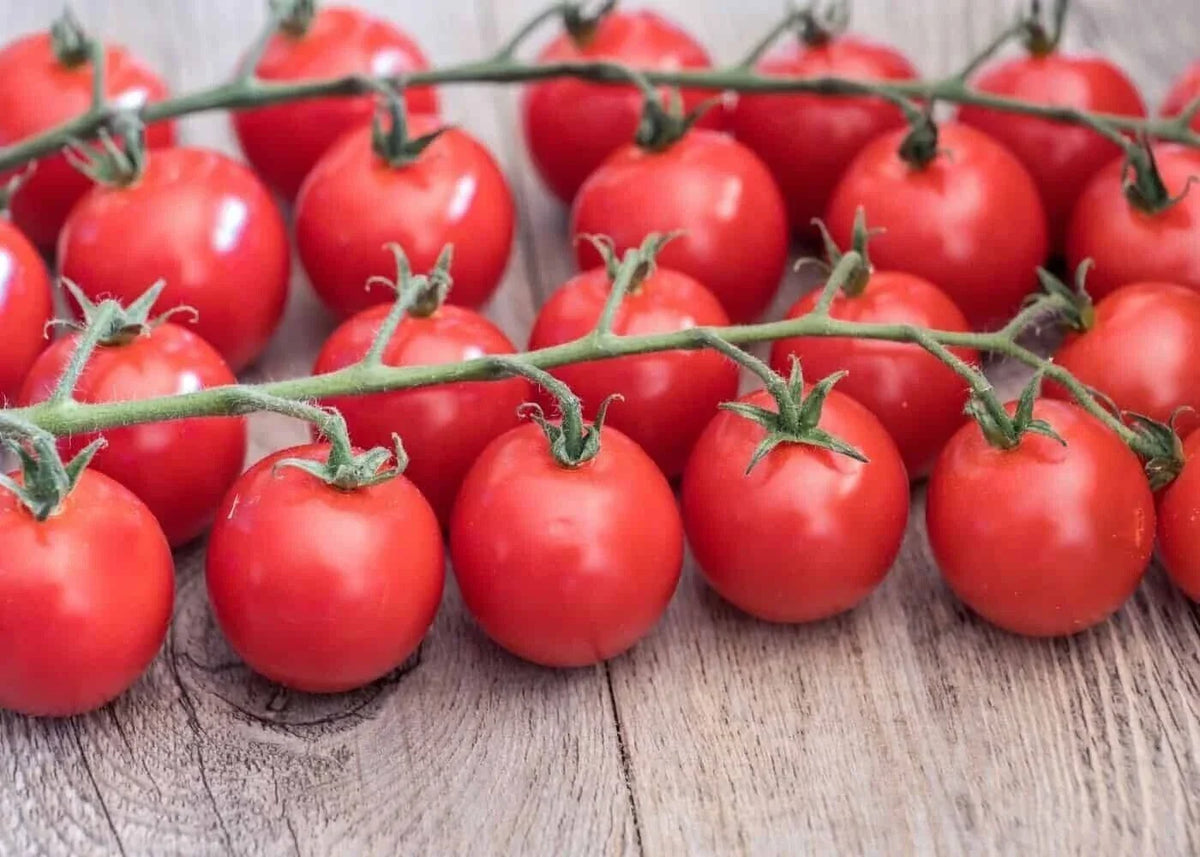 Sweetie Cherry Tomato Seeds - 30+ Organic Non-GMO Heirloom - Solanum lycopersicum - Ideal for Home Gardens