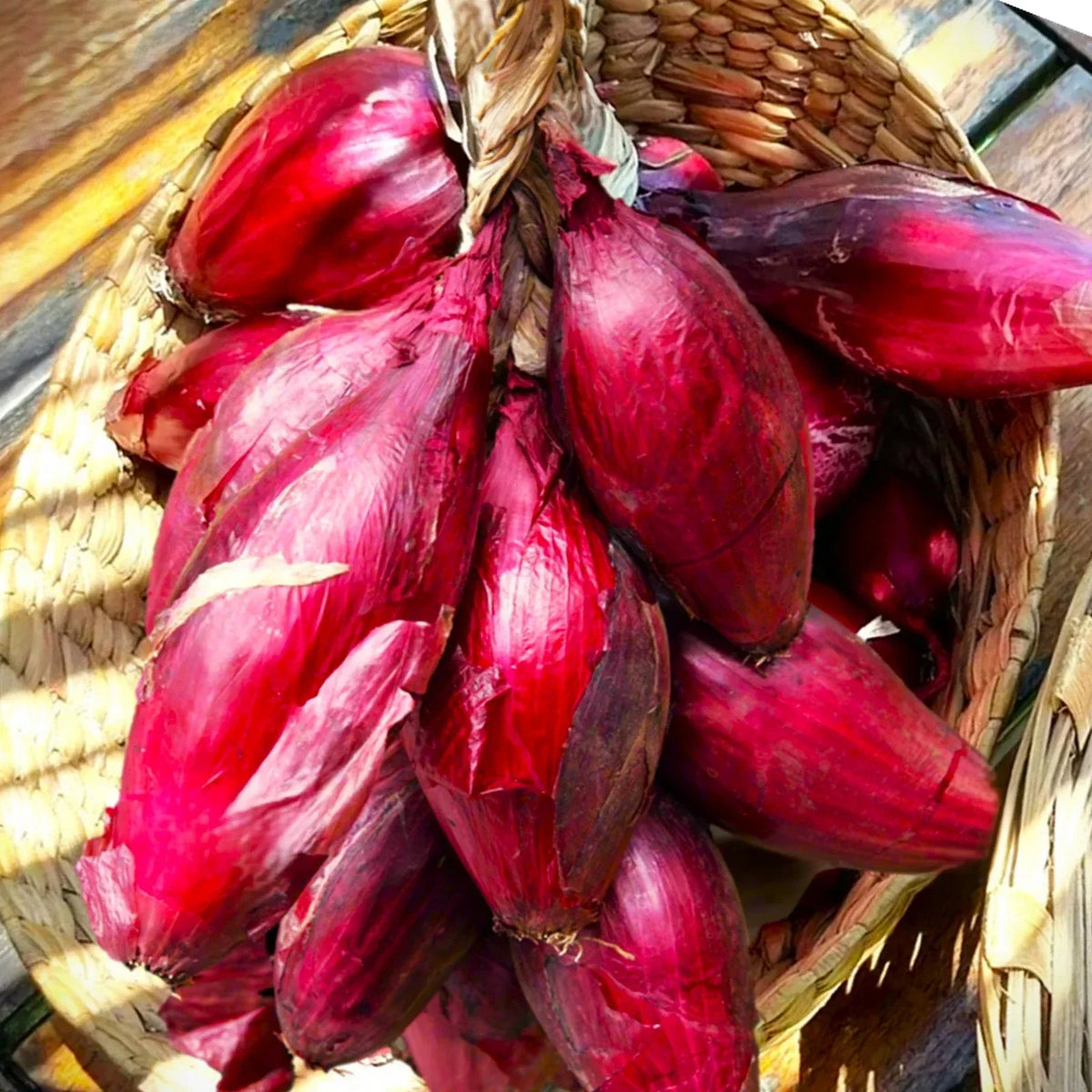 Red Tropea Onion Seeds - 100 Count - Cipolla Rossa di Torpea - Allium cepa - Non-GMO, Italian Heirloom for 2025 Planting