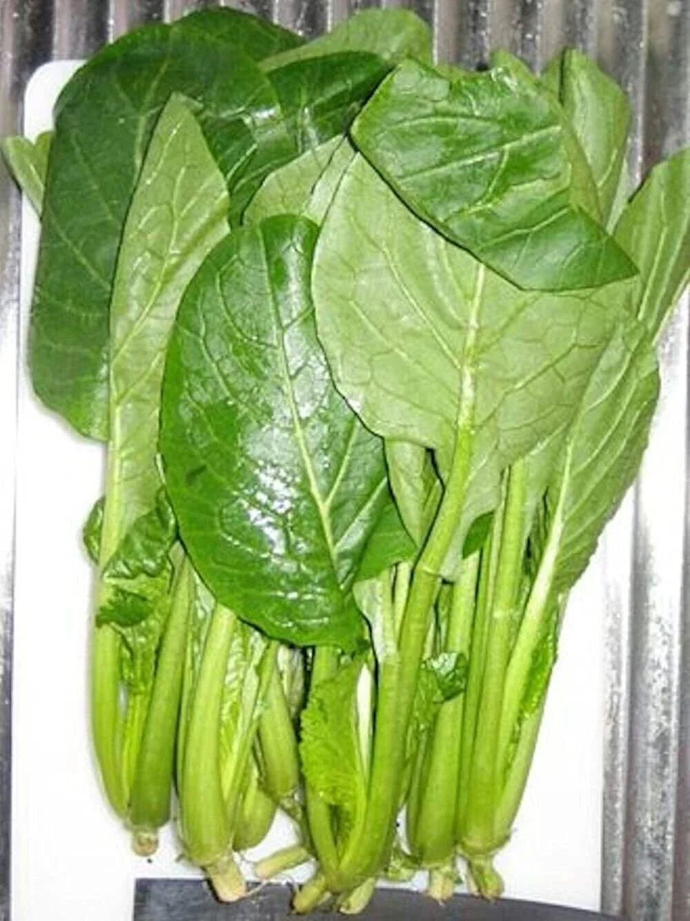 Komatsuna Seeds - 100 Non-GMO Japanese Green Spinach Mustard - Brassica rapa var. perviridis - Fast-Growing Culinary Greens