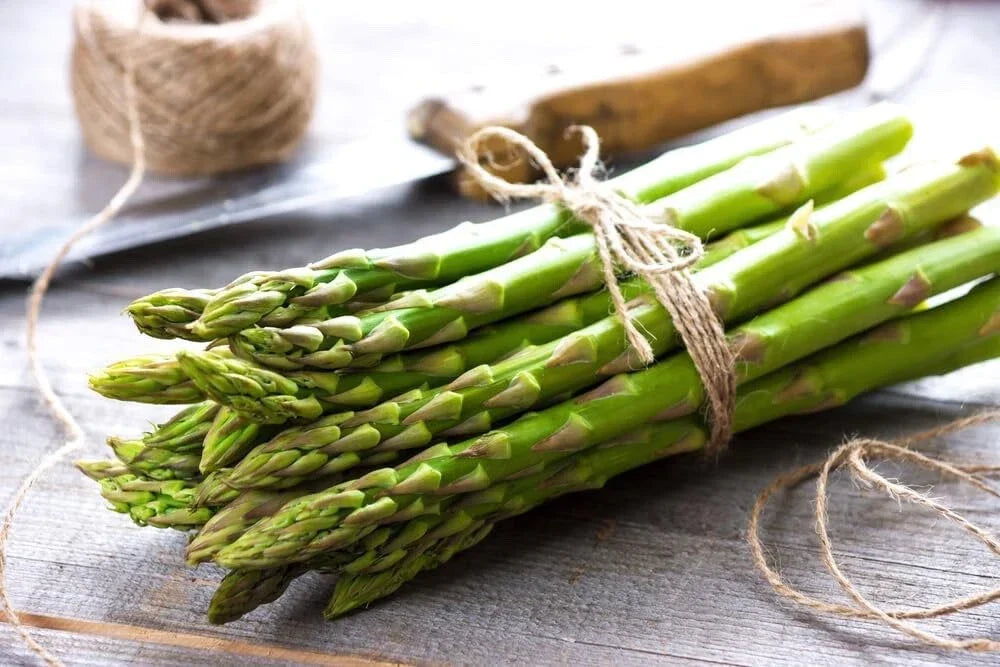 Jersey Knight Asparagus Bare Root Plants - 2-Year Crowns - Asparagus officinalis - Easy to Grow Perennial Vegetable