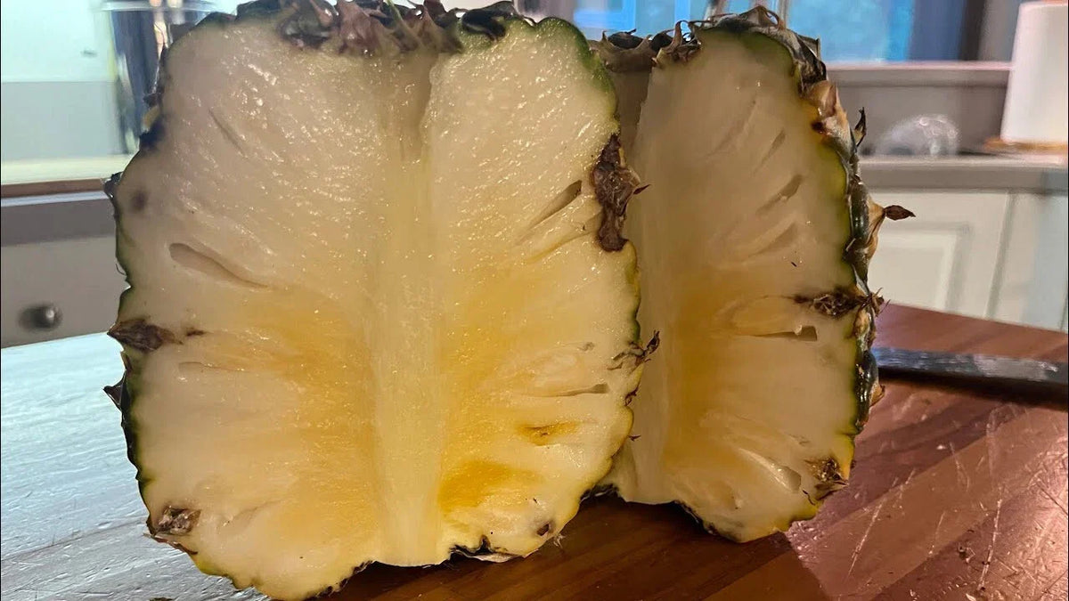 Sugarloaf Pineapple Seeds - 15 Premium Seeds for Garden Planting - Ananas comosus - Non-GMO, Easy to Grow, USA