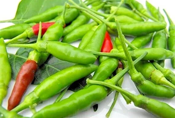 Thai Bird Pepper Seeds - 20 Count - Hot Variety - Capsicum annuum - Non-GMO for Authentic Thai Cuisine Gardening