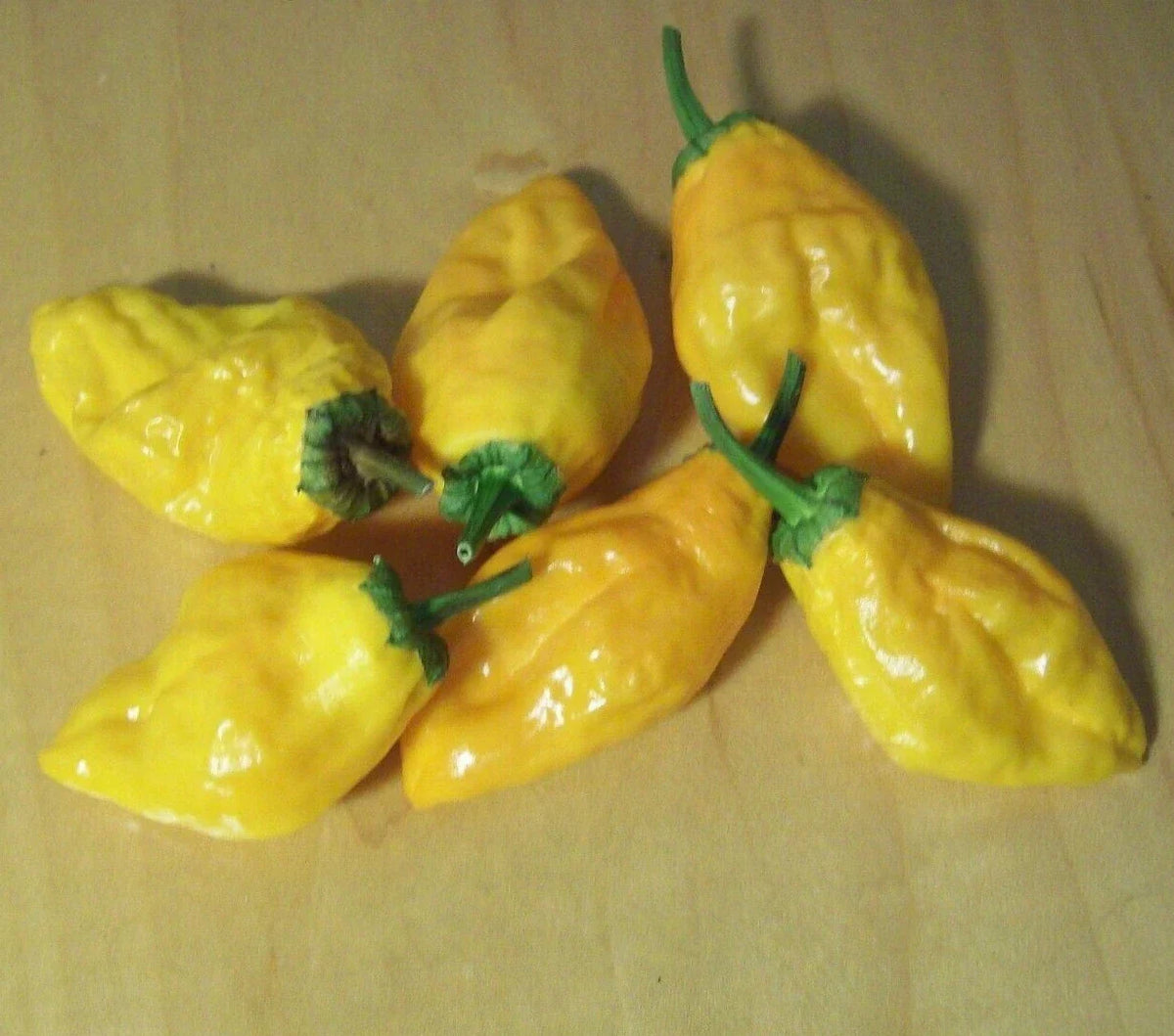 Orange Pepperoncini Pepper Seeds - 30+ Hot Culinary Vegetables, Capsicum annuum, Ideal for Salsa and Pickling