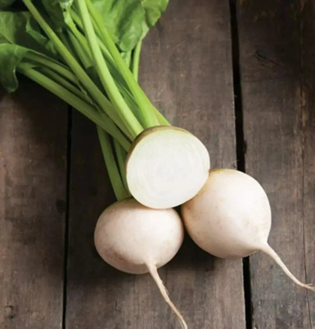White Albino Beet Seeds - 500+ Organic Heirloom NON-GMO - Beta vulgaris - Unique Sweet White Beetroot for Garden