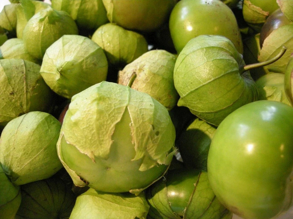 Tomatillo Verde Seeds - Heirloom Culinary Green Husk - Physalis philadelphica - Non-GMO for Fresh Salsa & Home Gardening