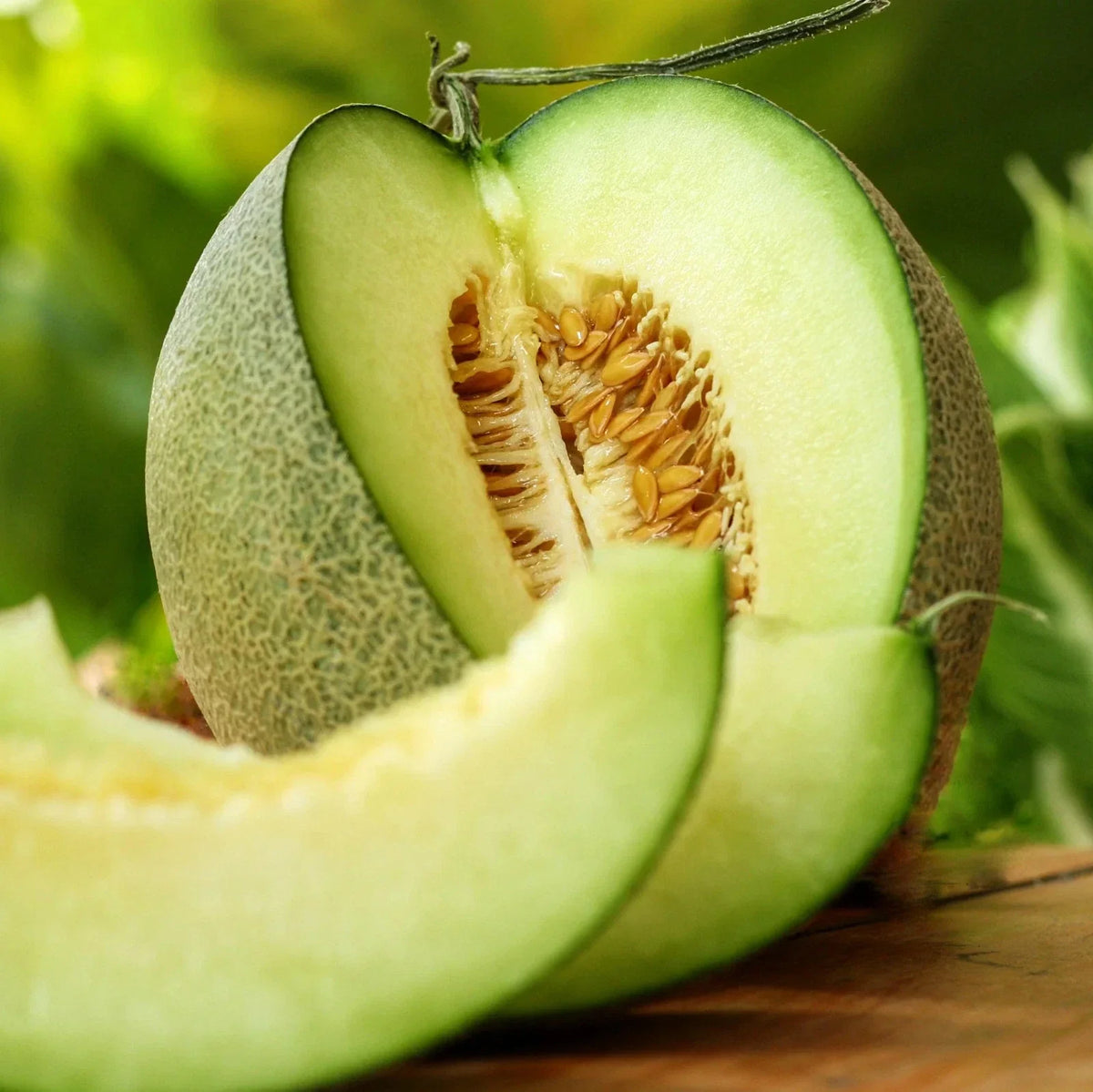 Rocky Ford Green Cantaloupe Seeds - Heirloom Open-Pollinated Variety - Cucumis melo - Pack of 20 Seeds for 2025 Planting