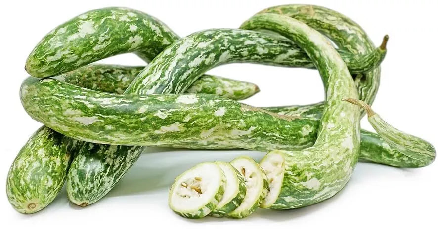 Speckled Snake Gourd Seeds - 10 Pack - Trichosanthes cucumerina - Exotic Climbing Gourds for Gardening and Culinary Use