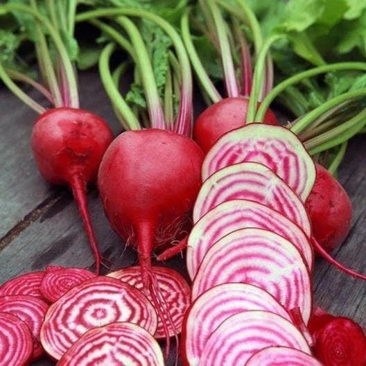 Chioggia Beet Seeds - Non-GMO Heirloom - 200 Count - Beta vulgaris - Unique Candy Stripe Garden Vegetable Seeds