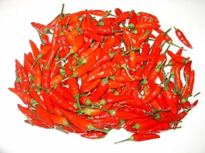 Tabasco Pepper Seeds - 25 Pack - Hot Variety for Pepper Sauce - Capsicum frutescens - Prolific Container Gardening Choice