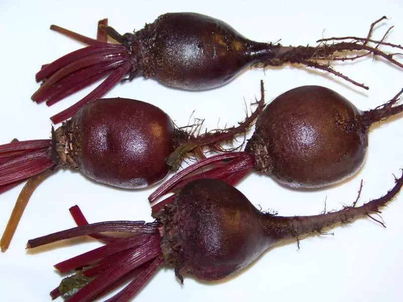 Beet Seeds - 163 Count - Detroit Dark Red - Beta vulgaris - Non-GMO Heirloom Vegetable Seeds for Home Gardening
