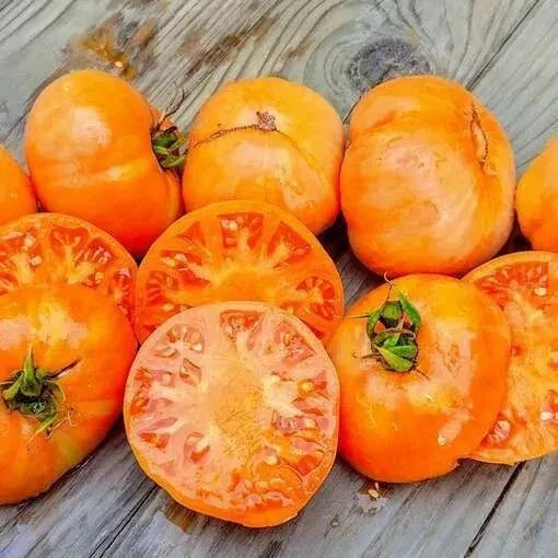 Organic Amana Orange Tomato Seeds | 30+ Heirloom, Non-GMO | Solanum lycopersicum | Rare Beefsteak Variety
