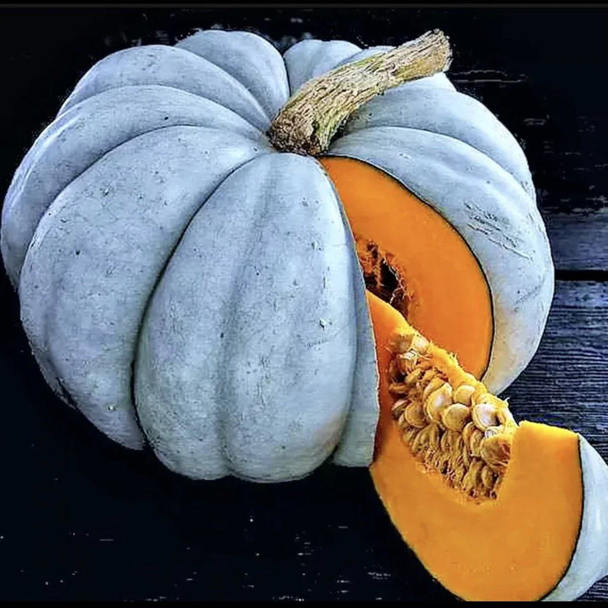 25 Blue Pumpkin Seeds | Jarradale Queensland Cinderella Doll | Rare Cucurbita maxima | Non-GMO Gardening Seeds