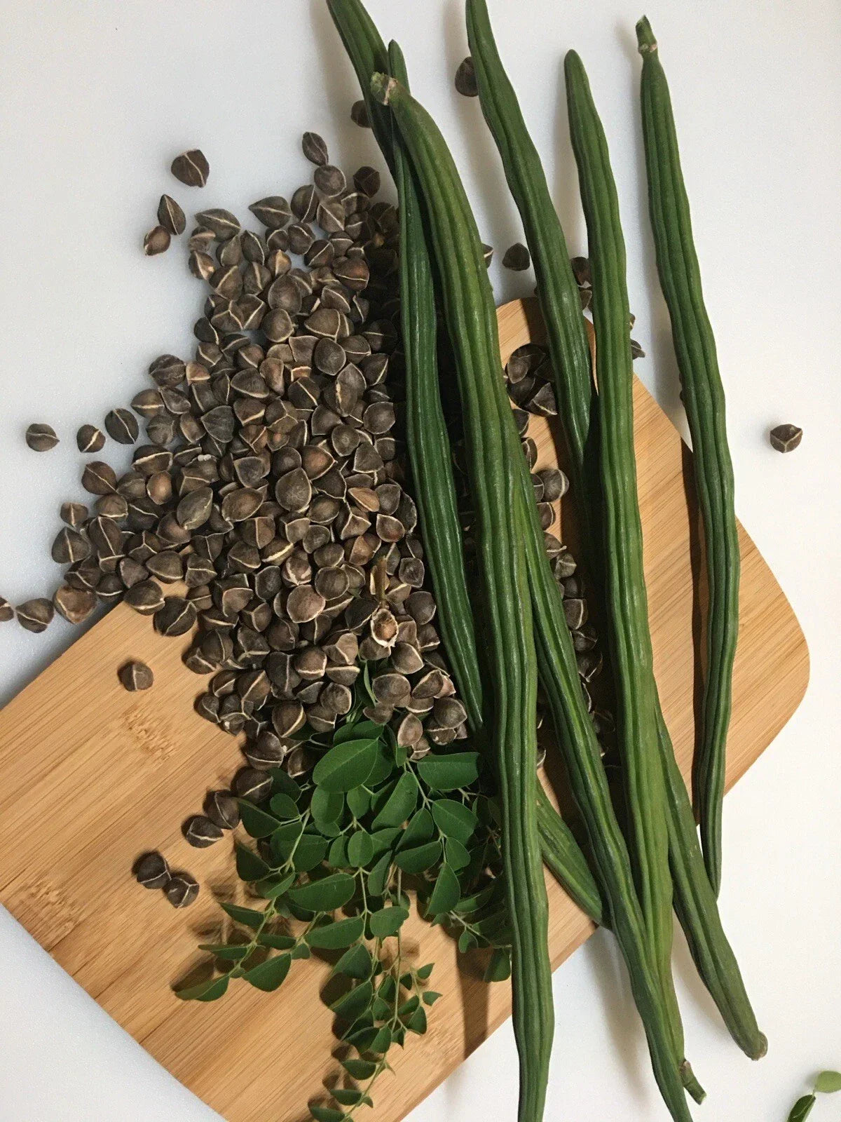 Moringa Seeds 50+ Non-GMO Malungay Seeds for Planting Moringa oleifera - Nutrient-Rich Miracle Tree Seeds