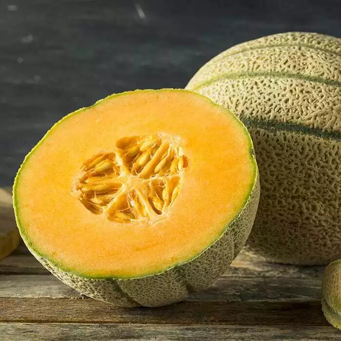 Honey Rock Melon Seeds | Non-GMO Cantaloupe | Sugar Rock Variety | Cucumis melo | Easy to Grow Garden Seeds