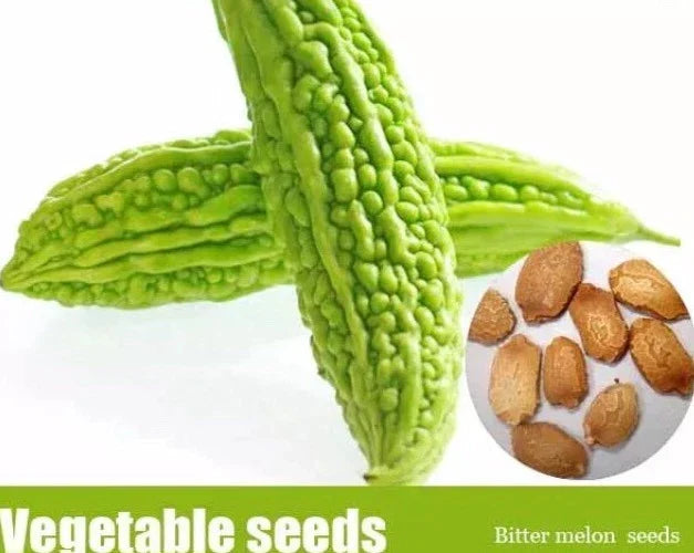 Bitter Melon Seeds 50+ Pack, Balsam Pear, Momordica charantia, Ku Gua, Foo Gwah for Home Gardening and Culinary Use