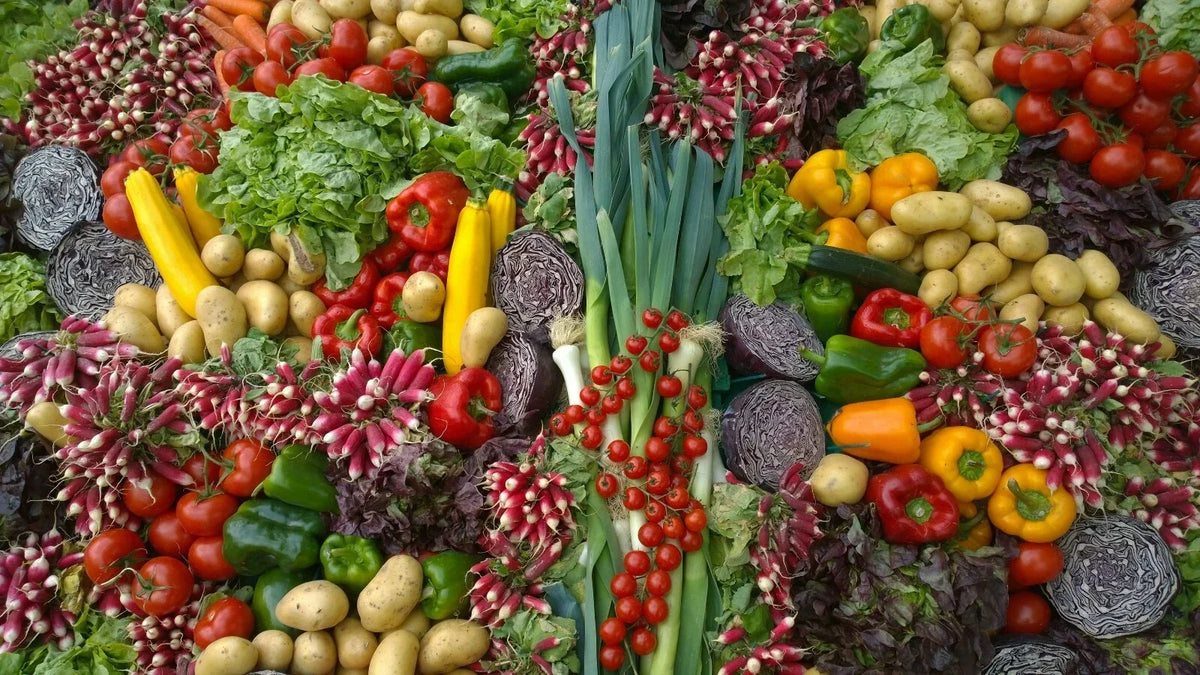 Emergency Survival Seed Bank 21,500+ Seeds 42 Varieties Medicinal Edible Herbal Collection - High Germination Rates