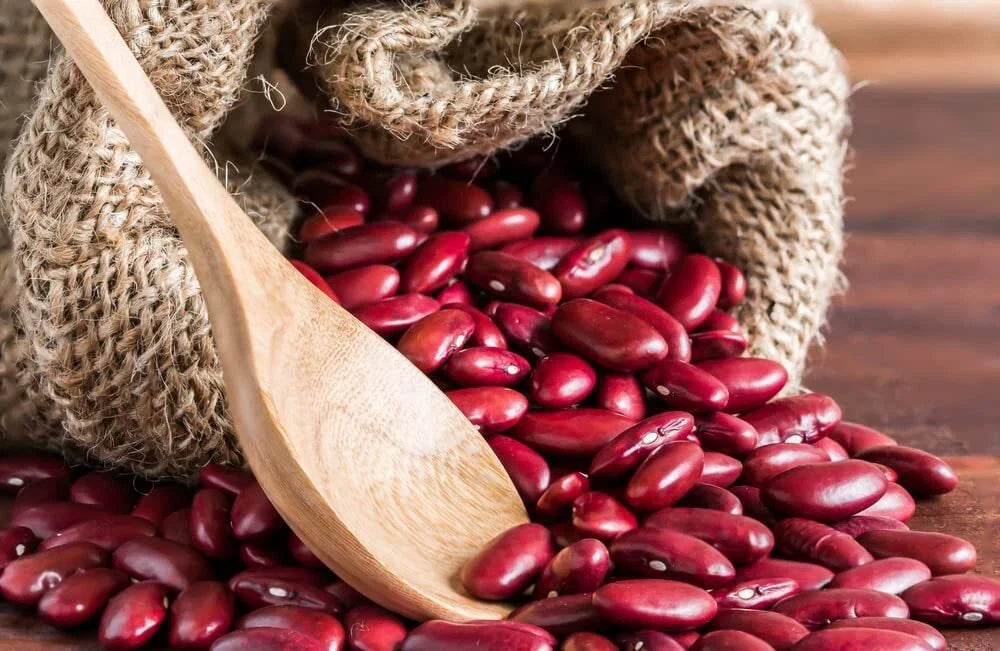 Red Kidney Bean Seeds - 30 Seeds - Phaseolus vulgaris - Easy to Grow Healthy Variety for Home Garden
