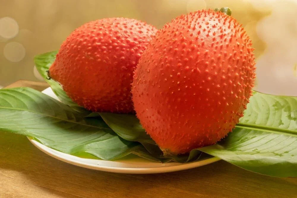 Rare Gac Melon Seeds - 5 Pack, Bright Spiky Fruit, Compact Vines, Momordica cochinchinensis - Unique Garden Addition