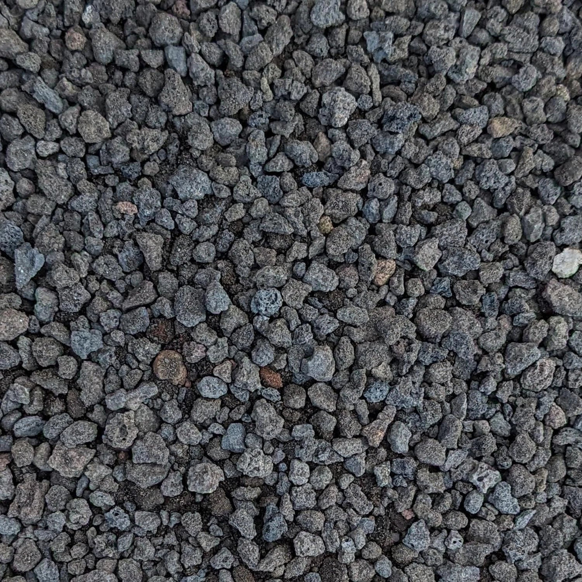 Black Lava Rocks 1/4" Natural Volcanic Rock for Drainage and Decoration - Ideal for Potted Plants and Succulent Gardens