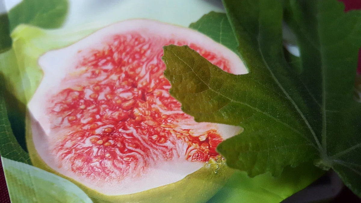 Jerusalem Fig Seeds 100 Count - Ficus carica - Organic Fruit Seeds for Home Garden - Drought-Tolerant, Easy to Grow