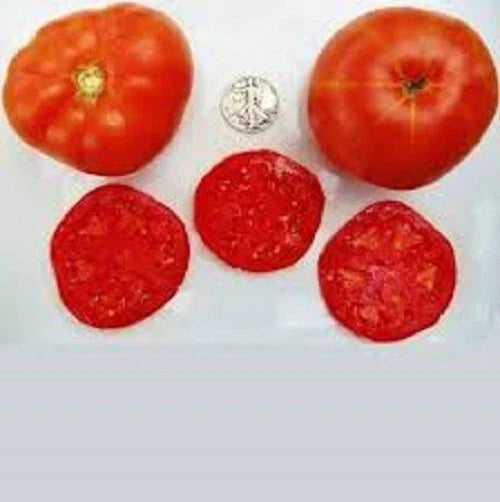 Trophy Plant Seeds - +25 Fresh Assorted Varieties - Trophyus viridis - Premium Gardening Seeds for Indoor/Outdoor Use