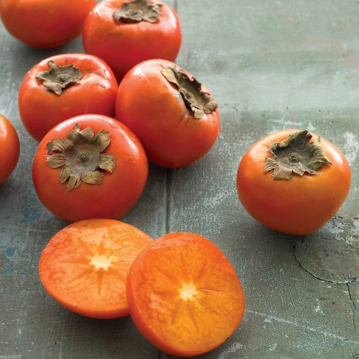 American Persimmon Seeds - 10 Count - Diospyros virginiana - Sweet Fruit & Beautiful Fall Foliage