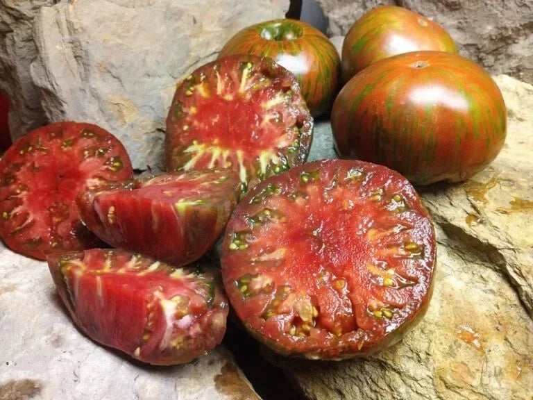 Chocolate Stripe Tomato Seeds - 120+ Organic Heirloom Non-GMO - Solanum lycopersicum - Rare Striped Variety for Home Gardening