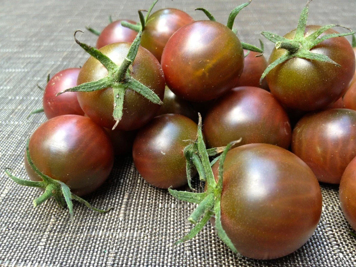 Brown Berry Tomato Seeds - 120+ Heirloom Organic Seeds - Solanum lycopersicum - Rare Sweet Variety for Home Gardening